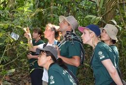 Volunteer Conservation & Environment Conservation volunteers inspect edemic plant species at a placement in Peru