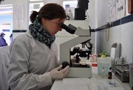 Volunteer Medicine & Healthcare A volunteer Doctor continues her work at a placement in Peru